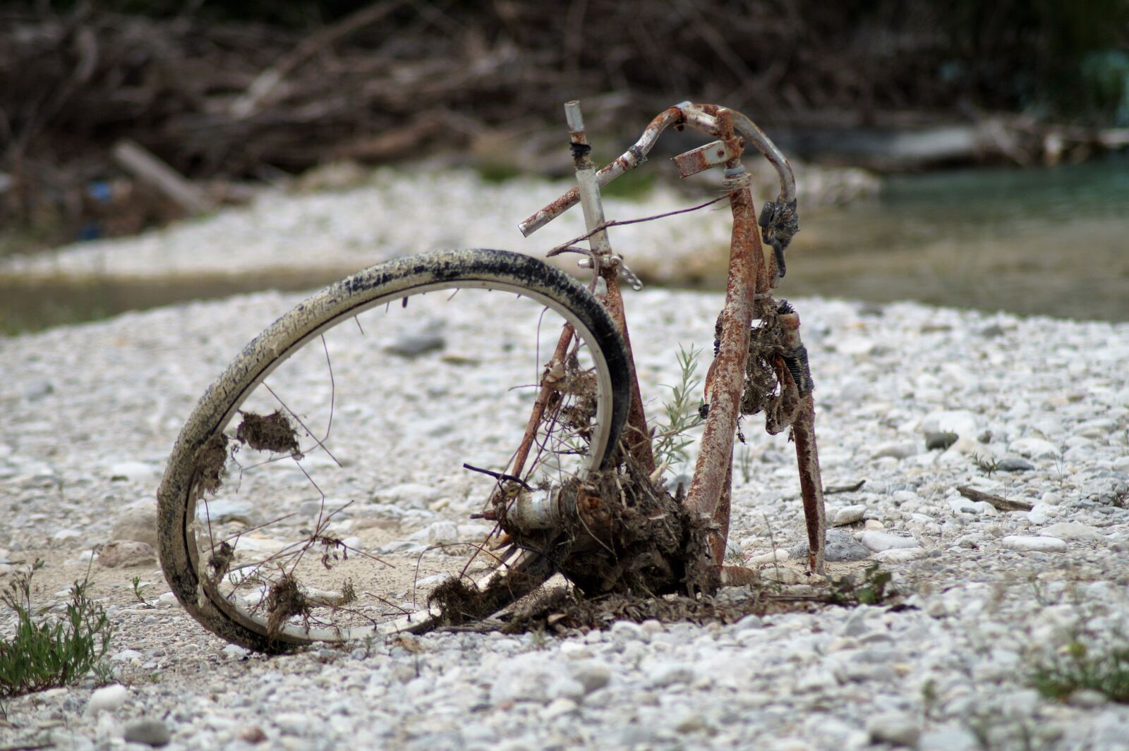 Sony SLT-A58 sample photo. Bike, scrap, garbage photography