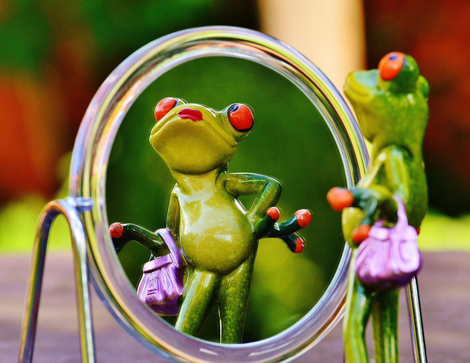 Nikon D3200 sample photo. Frog, mirror, mirror image photography