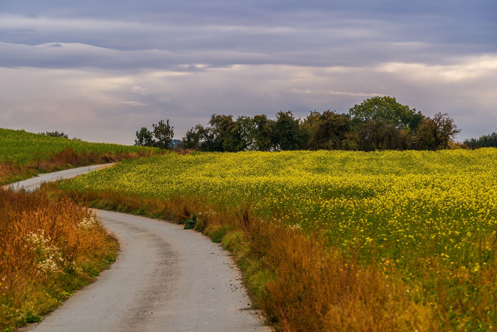 Sony a7 III + Sony FE 70-200mm F4 G OSS sample photo. Landscape, away, field photography