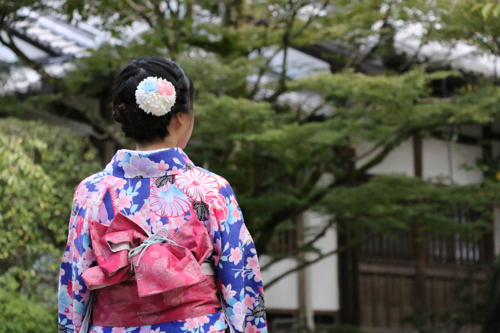 Canon EOS 70D sample photo. Japan, kimono, figure photography