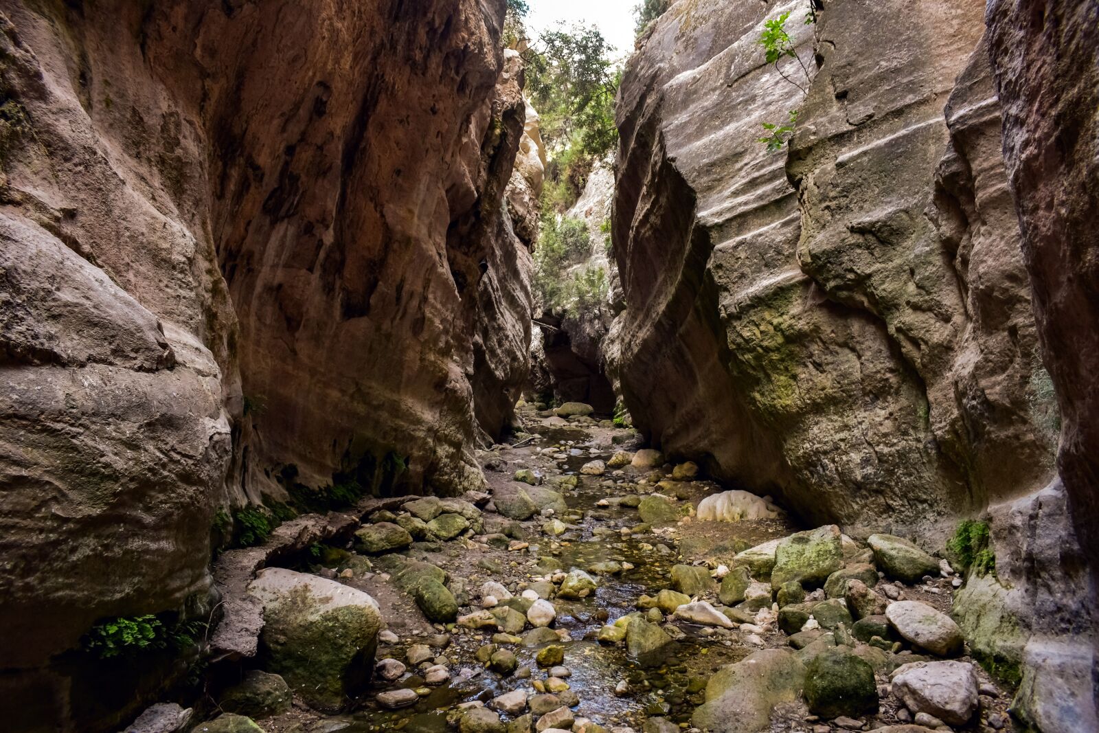 Nikon D3300 sample photo. Cyprus, akamas, avakas gorge photography
