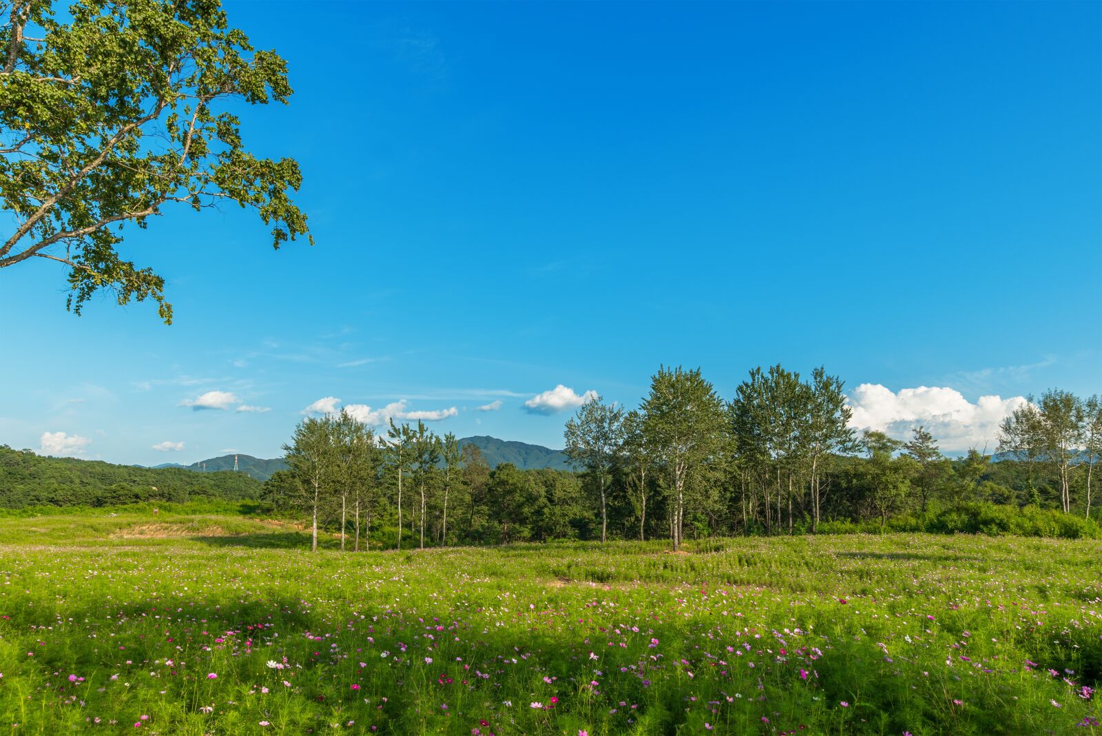 Nikon D750 sample photo. Korea, gangwon do, iron photography