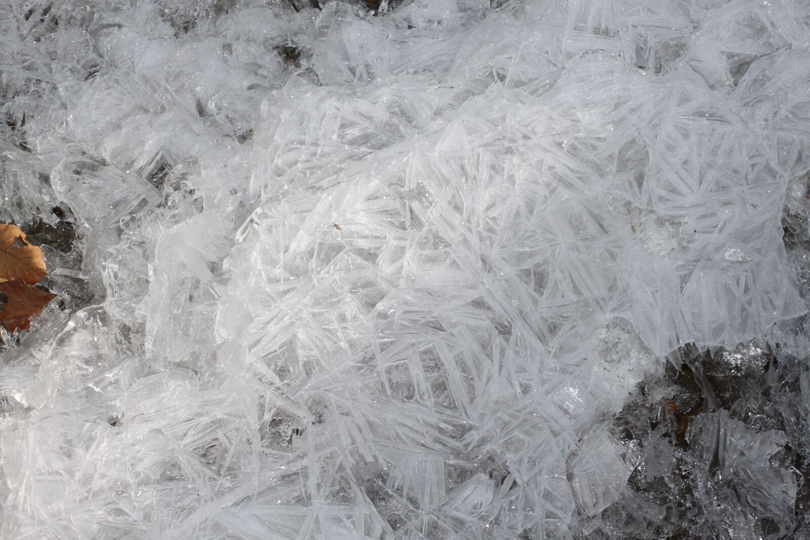 Canon EOS 500D (EOS Rebel T1i / EOS Kiss X3) sample photo. Eiskristalle, crystals, ice photography
