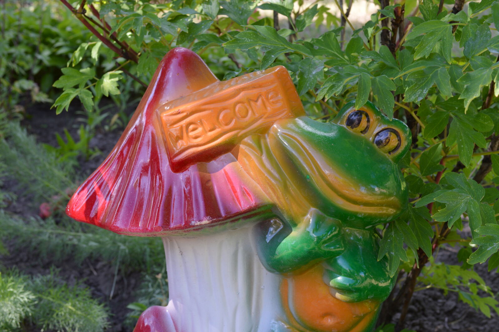 Nikon D3200 sample photo. Frog, garden, frog, garden photography