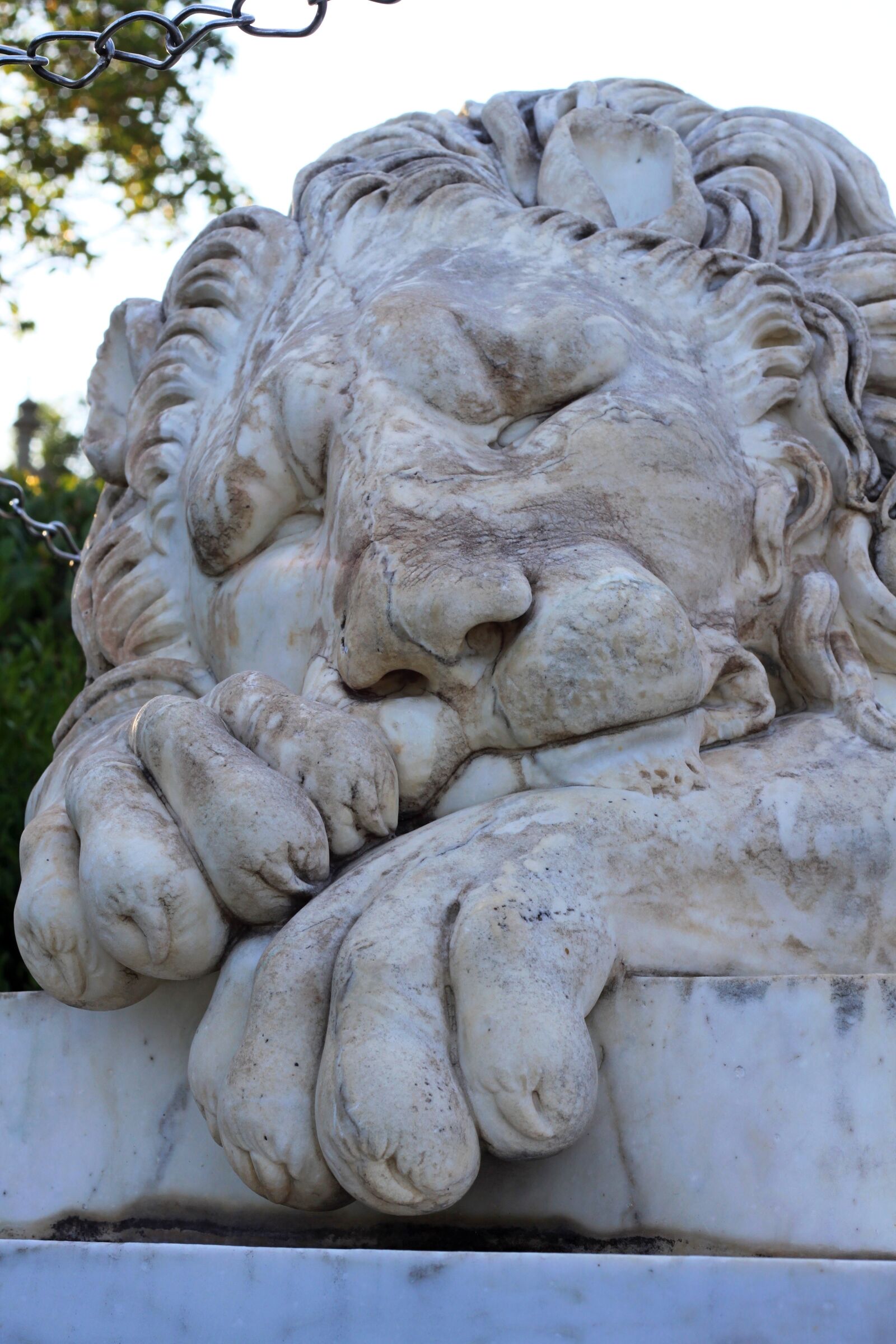 Canon EOS 500D (EOS Rebel T1i / EOS Kiss X3) sample photo. Sleeping, leo, marble photography
