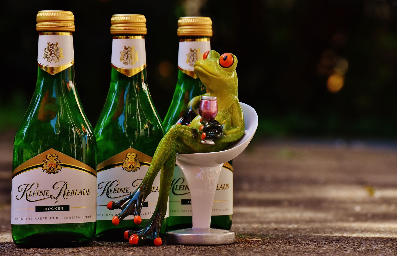 Nikon D7200 sample photo. Frog, wine, drink photography