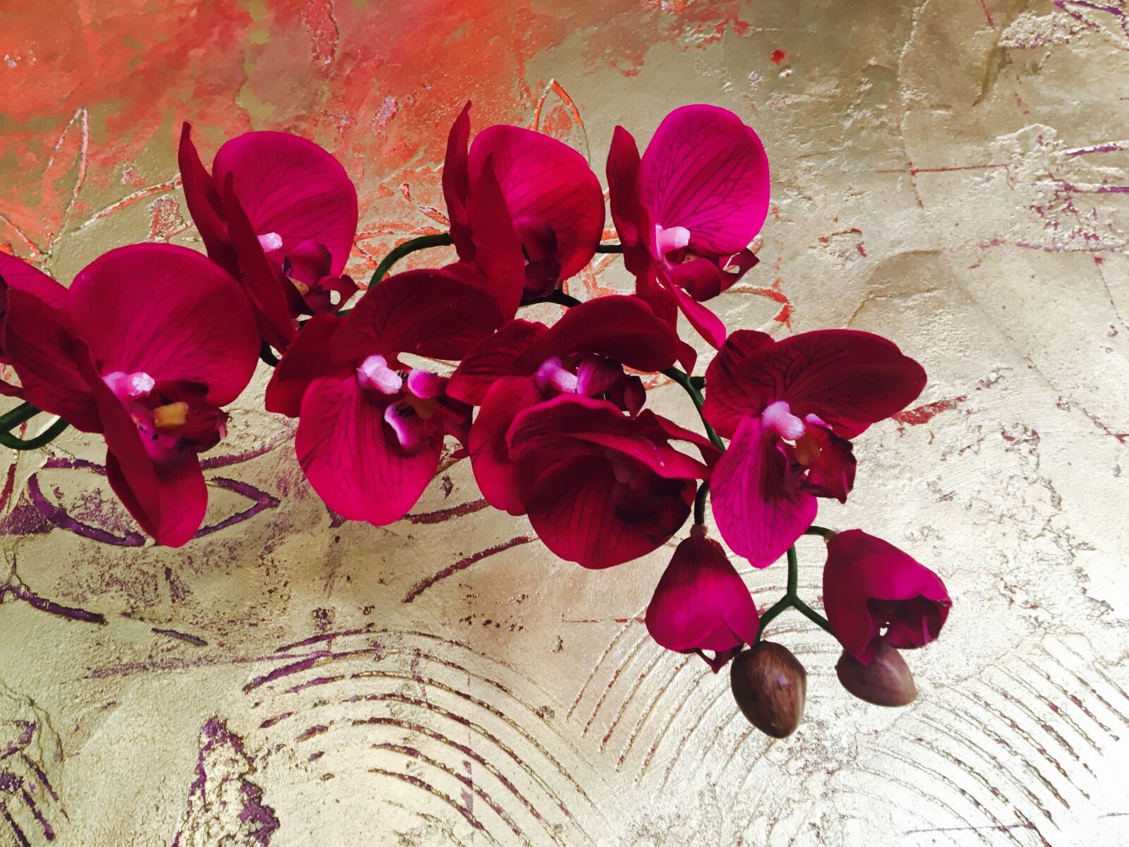 Apple iPhone 6s sample photo. Orchid, flower, gold wall photography