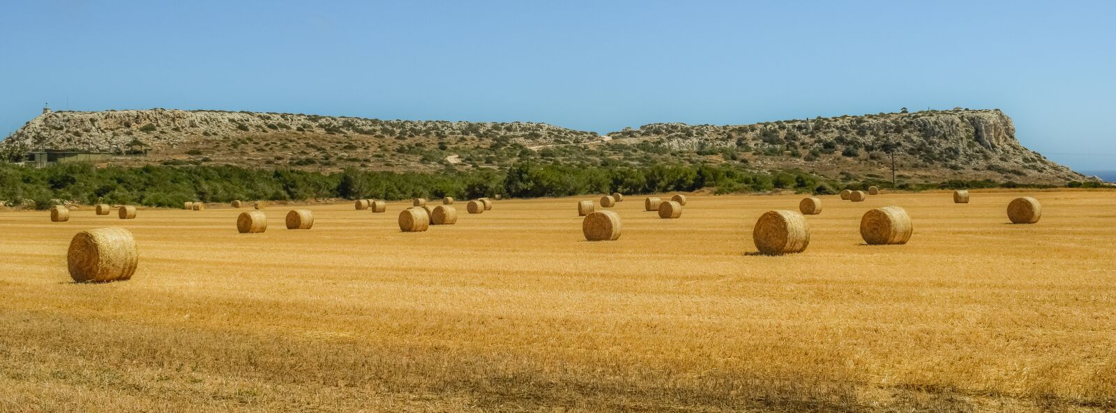Nikon D3300 sample photo. Hay, straw, bale photography