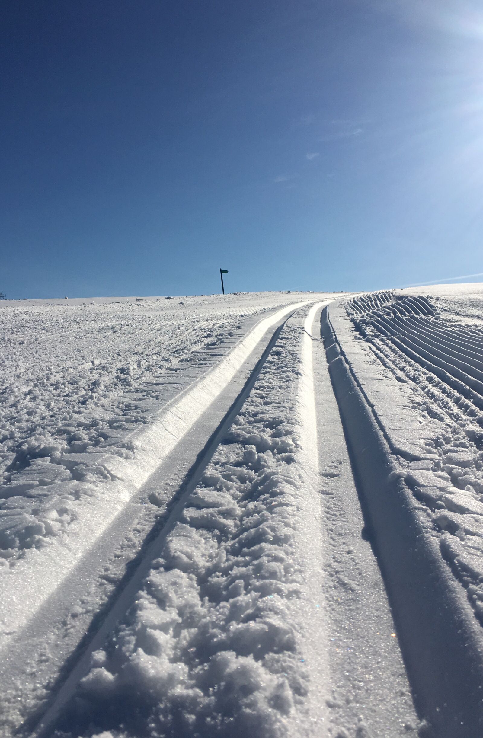 Apple iPhone 6s sample photo. Trail, winter, cross country photography