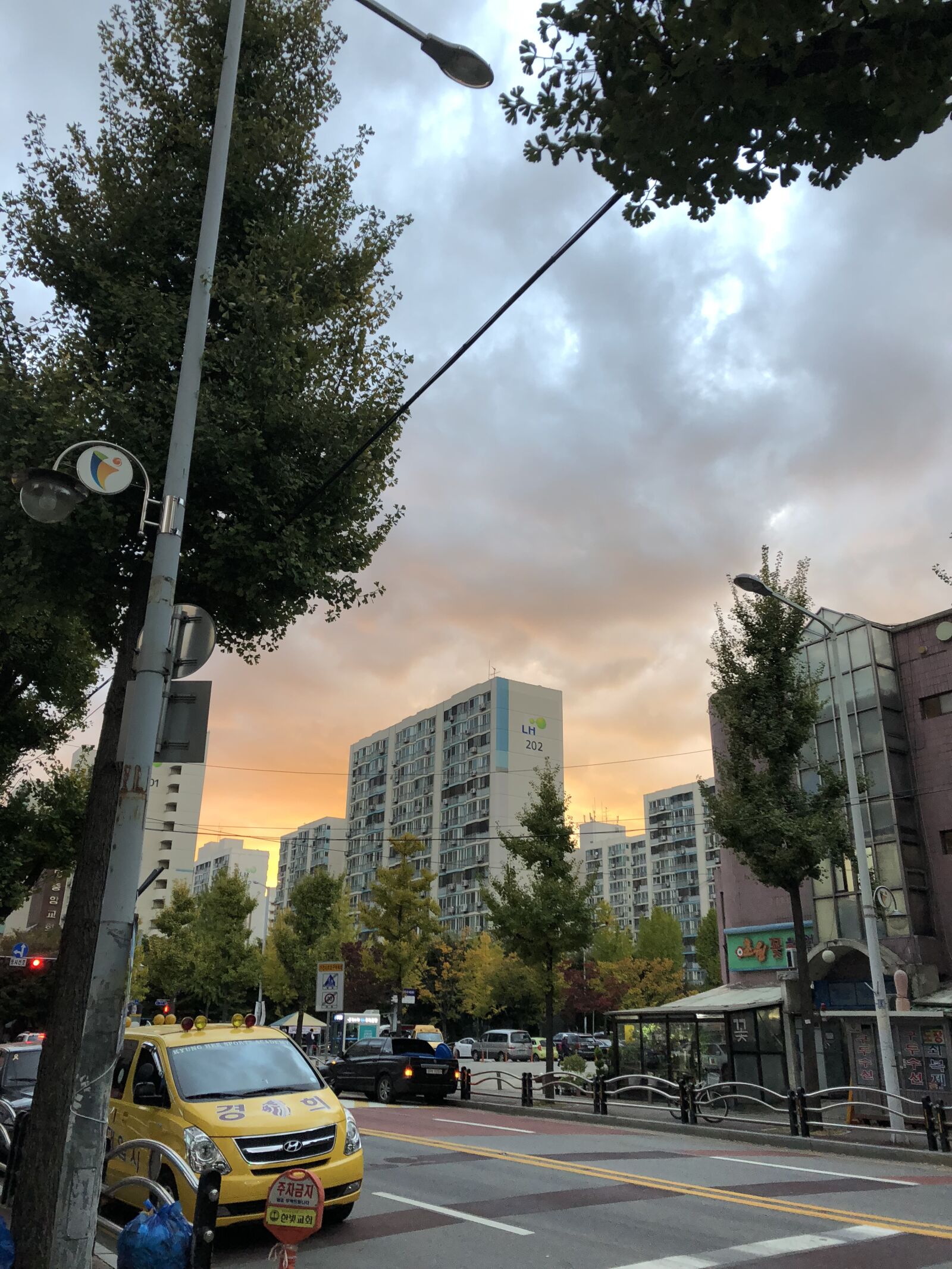 Apple iPhone 8 + iPhone 8 back camera 3.99mm f/1.8 sample photo. Cloud, tree, sku photography