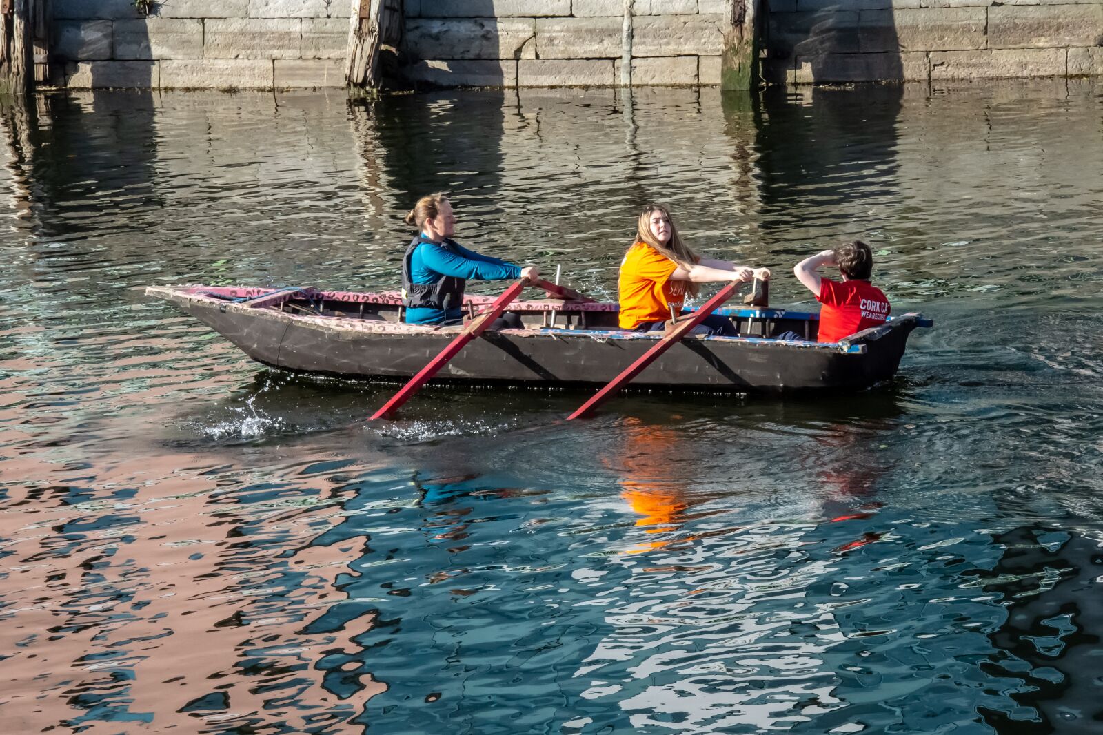 Nikon D7200 sample photo. Ireland, rowing, nature photography