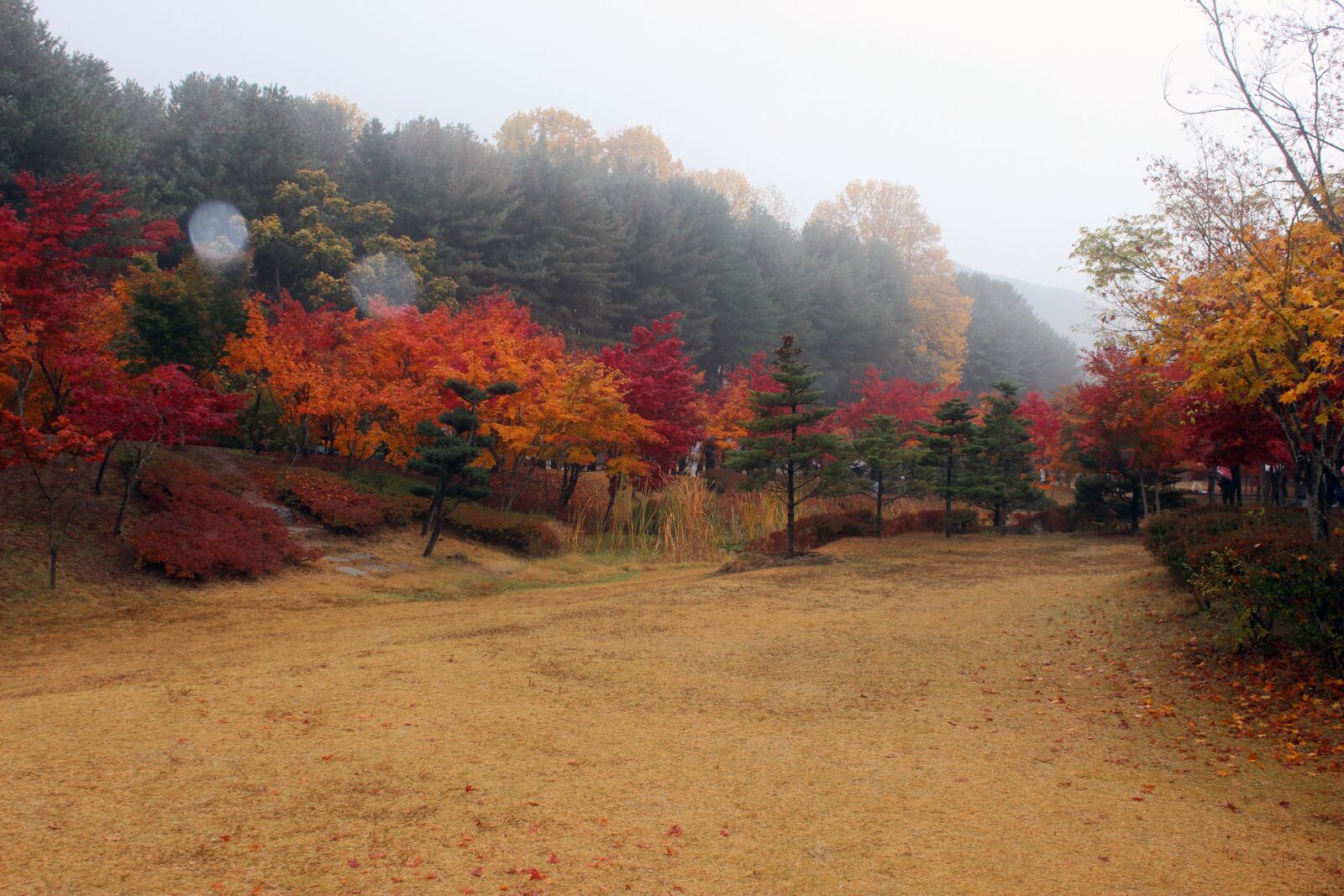Canon EOS 600D (Rebel EOS T3i / EOS Kiss X5) sample photo. Autumn, travel, nature photography