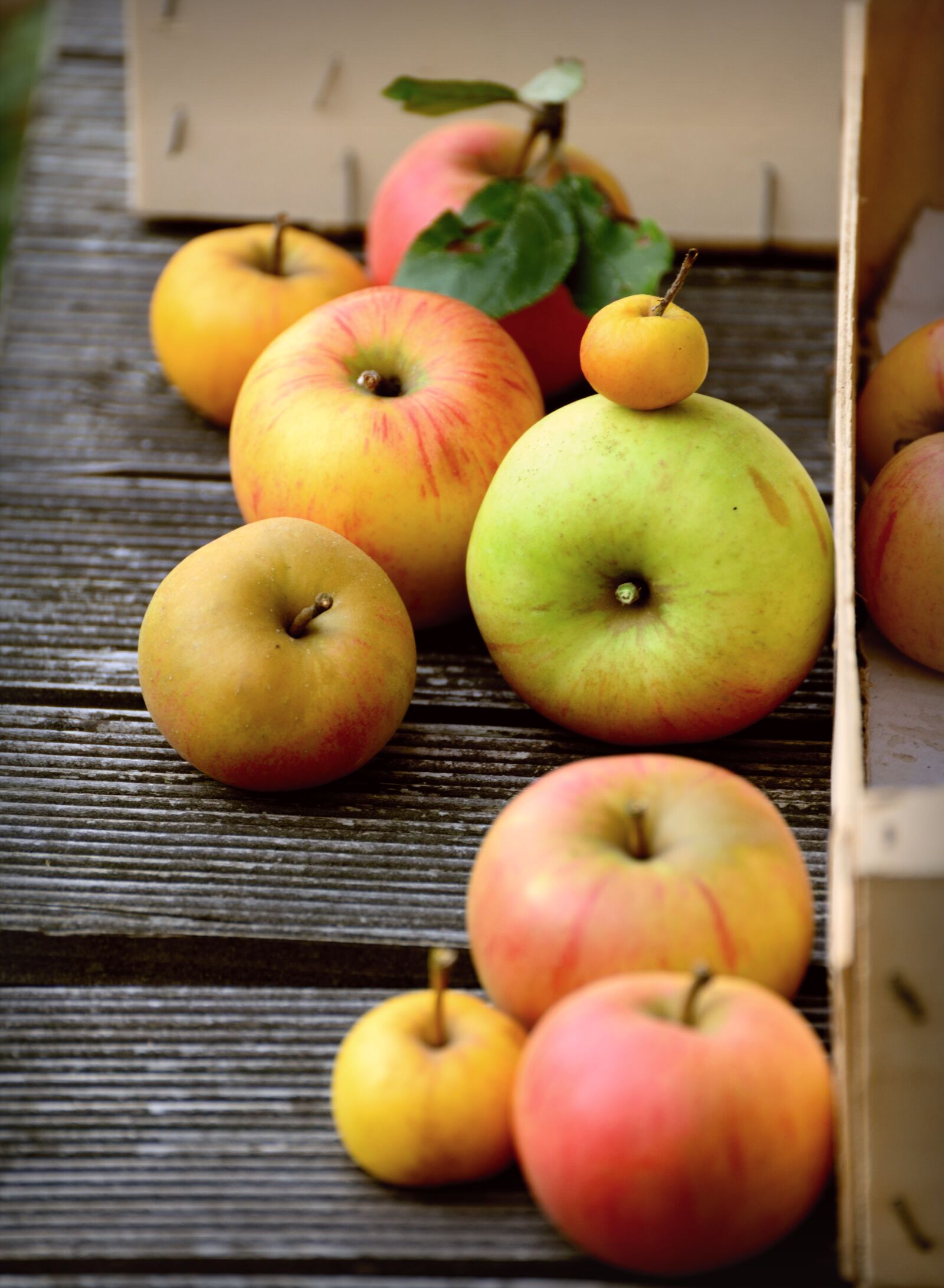 Nikon D610 sample photo. Apples, fresh apples, fruits photography
