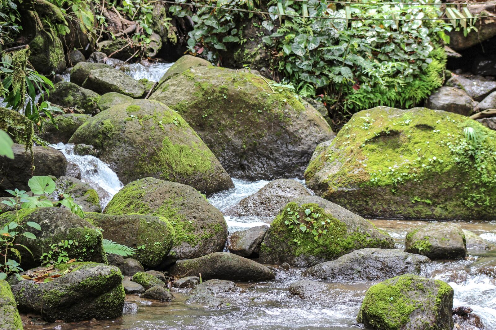 Canon EF75-300mm f/4-5.6 sample photo. Waterfall, jungle, rainforest photography