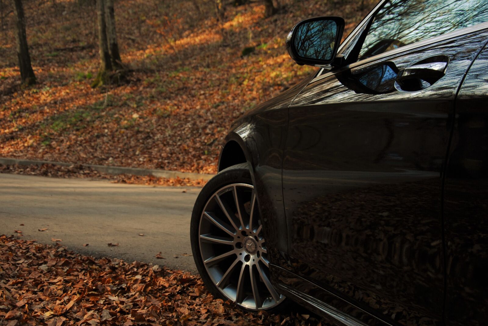 Nikon D200 sample photo. Auto, autumn, benz photography