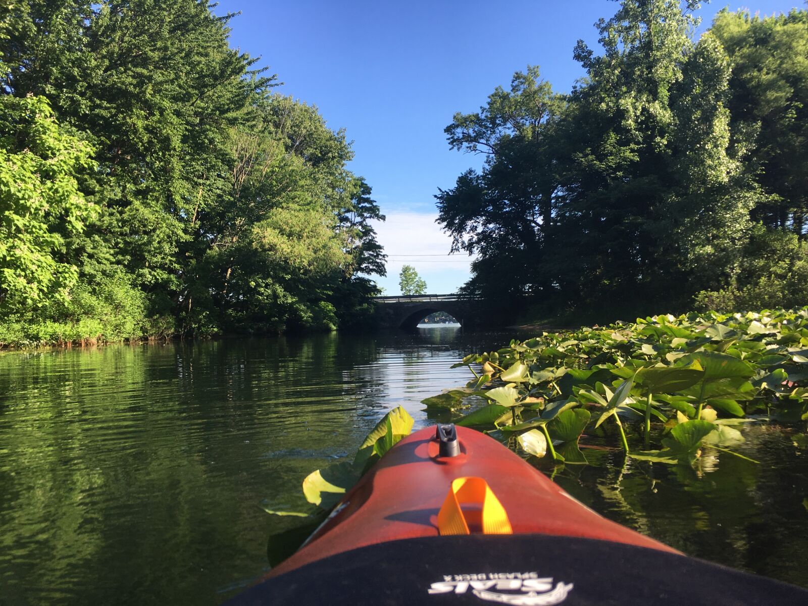 Apple iPhone 6s sample photo. Kayak, bridge, river photography