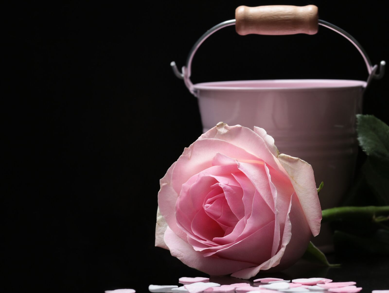 Canon EOS 80D sample photo. Rose, floribunda, bucket photography