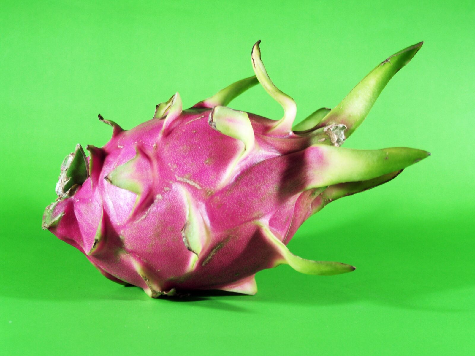 Olympus E-300 (EVOLT E-300) sample photo. Fruit, dragon, closeup photography