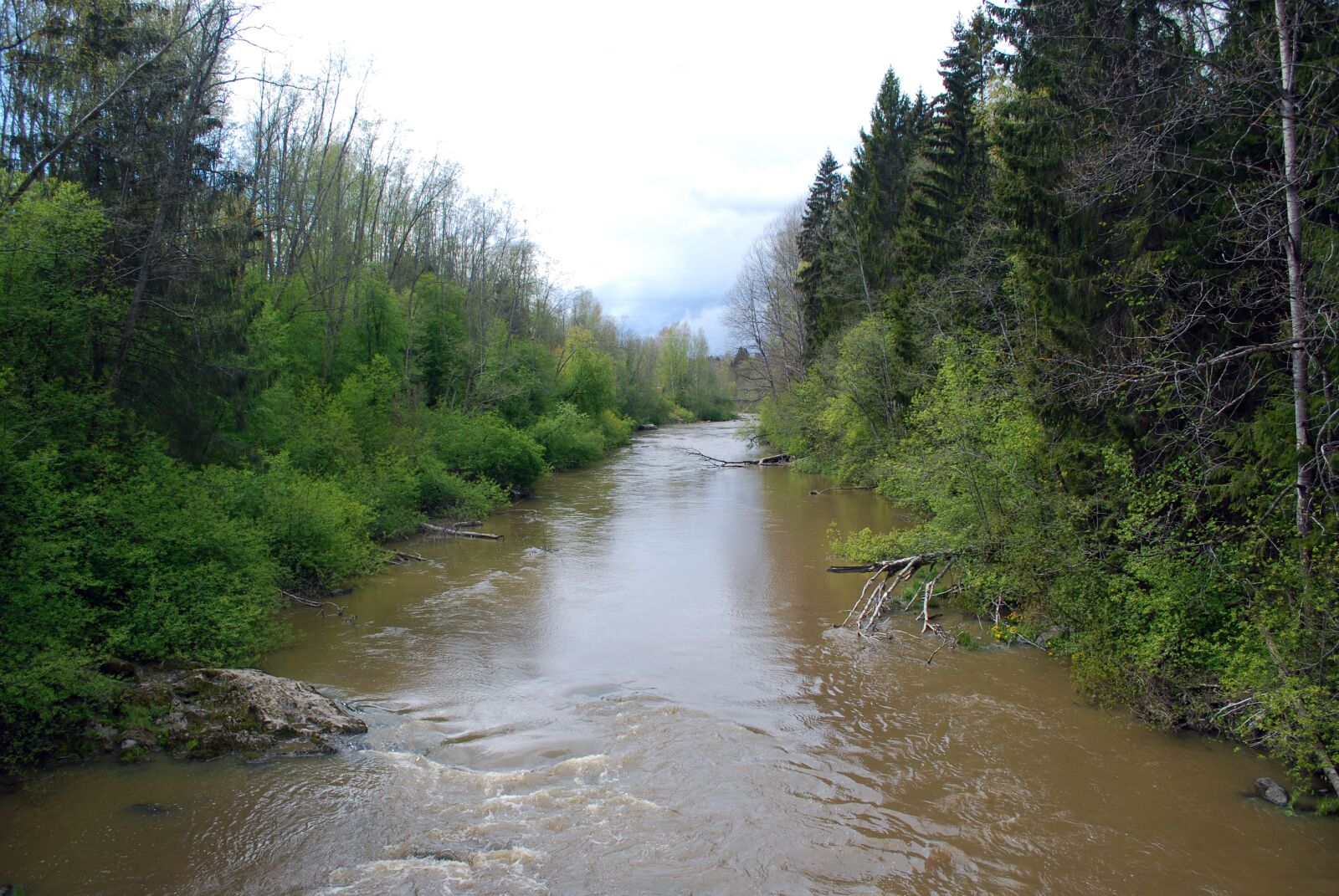 Nikon D60 sample photo. River, finland, brown photography
