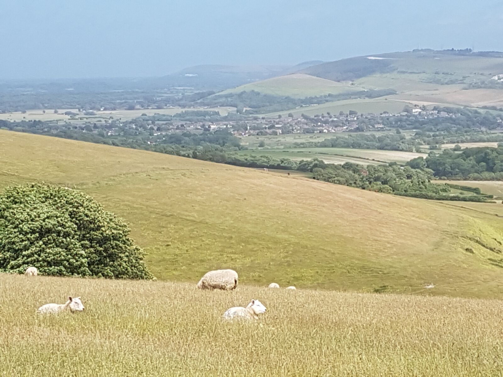 Samsung Galaxy S7 sample photo. Countryside, hills, sheep photography