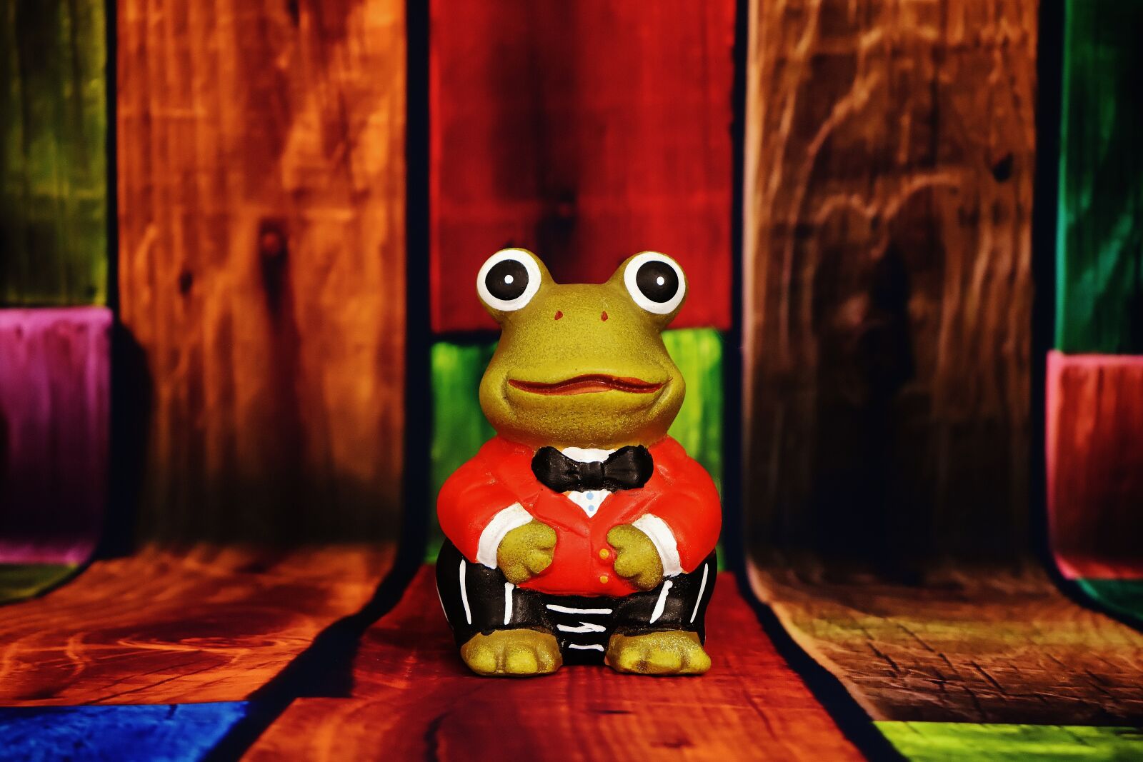 Nikon D7200 sample photo. Frog, figure, funny photography