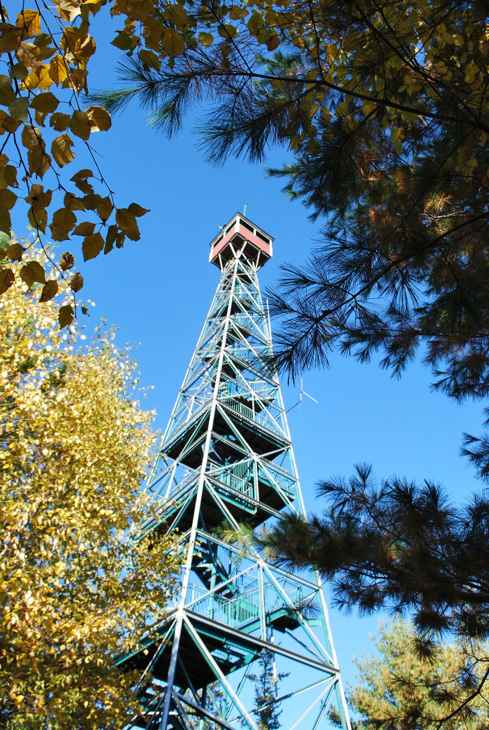 Nikon D60 sample photo. Temagami, tower, nature photography