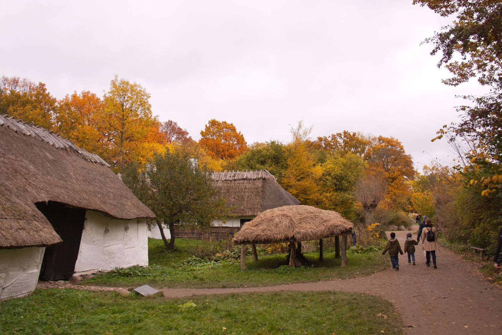 Canon EOS 50D sample photo. The open-air museum, farm photography