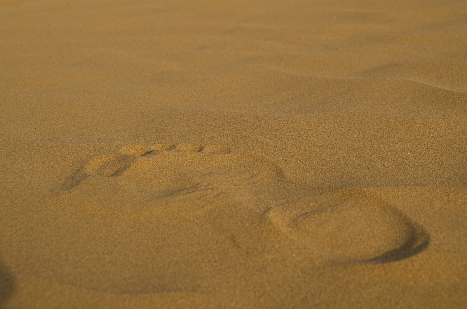 Nikon D7000 sample photo. Foot in dessert, dessert photography
