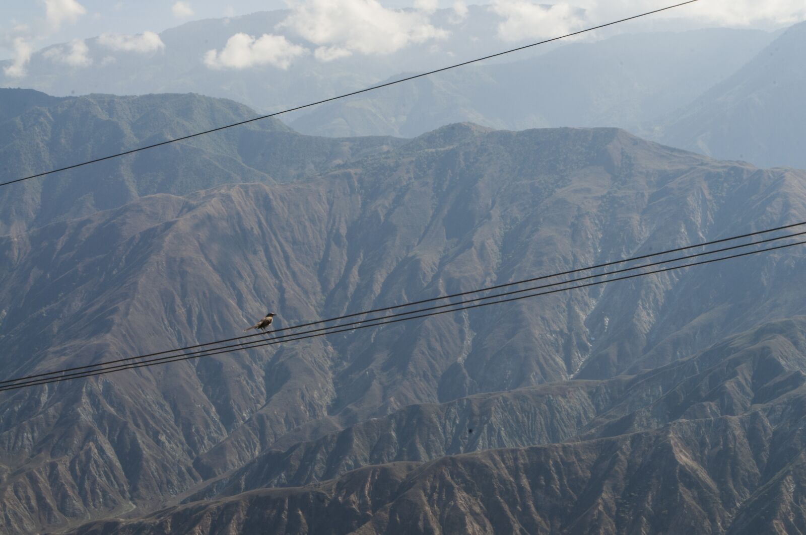 Nikon D5000 sample photo. Ave, chicamocha, colombia photography