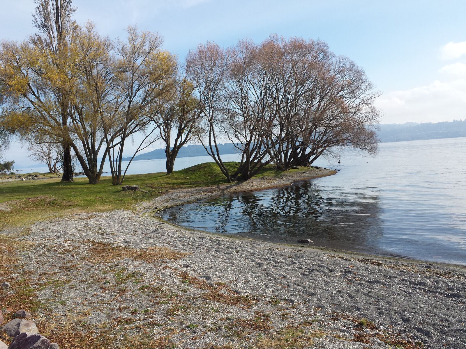 Samsung Galaxy S4 sample photo. Lake, tree, ca photography