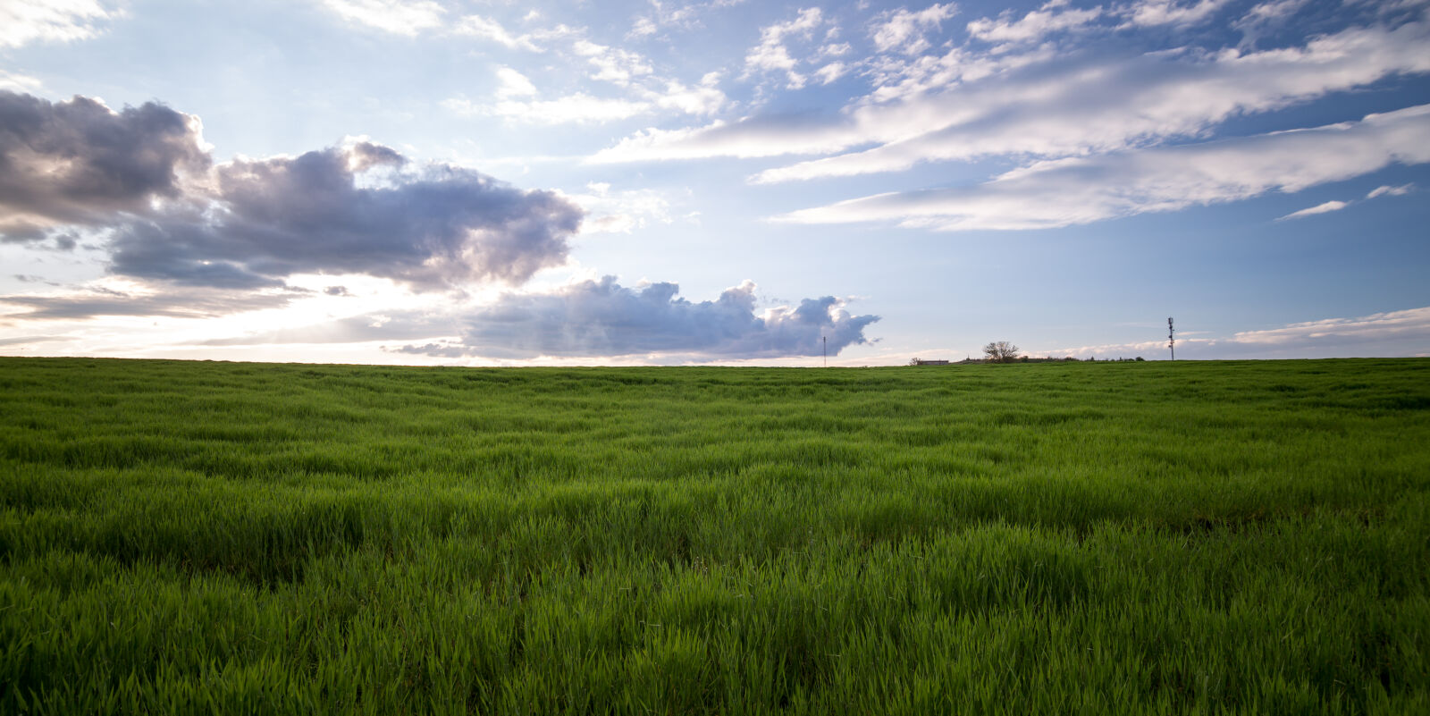 Canon EOS 6D + Tokina AT-X Pro 11-16mm F2.8 DX sample photo. Agriculture, clouds, countryside, cropland photography