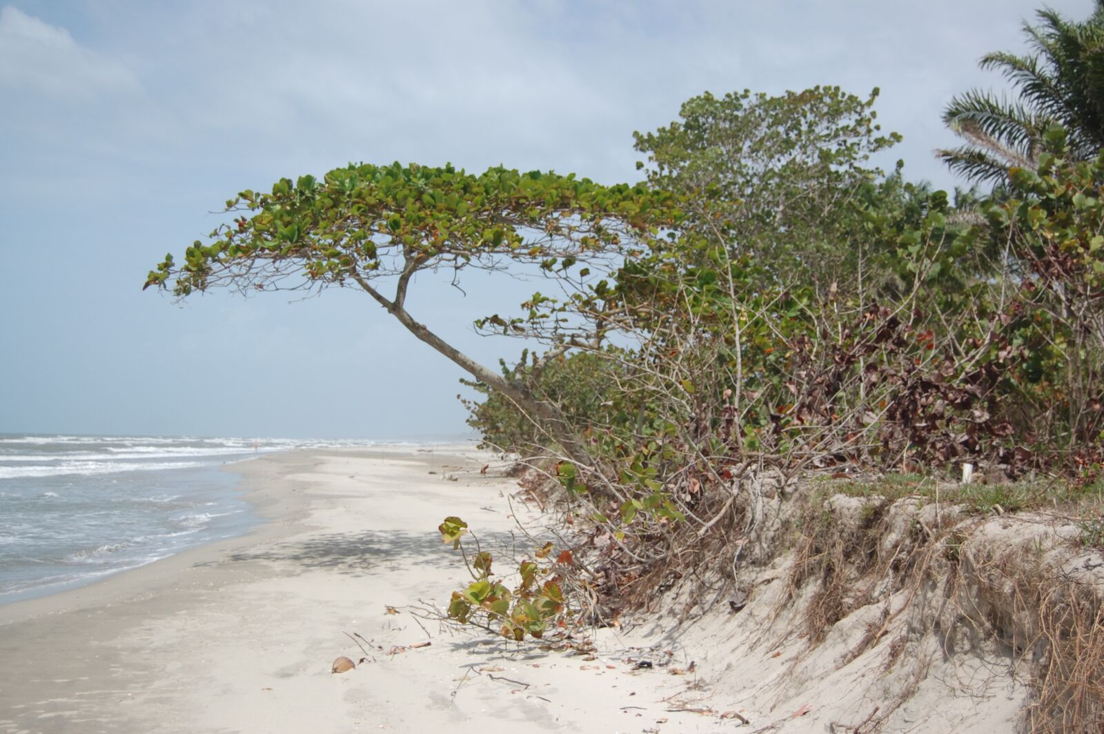 Nikon D40 sample photo. Honduras, beach, shore photography