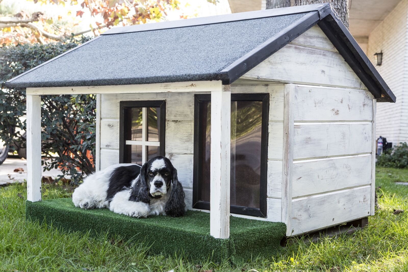 Canon EOS 5D Mark III sample photo. Kennels for pets, dog photography