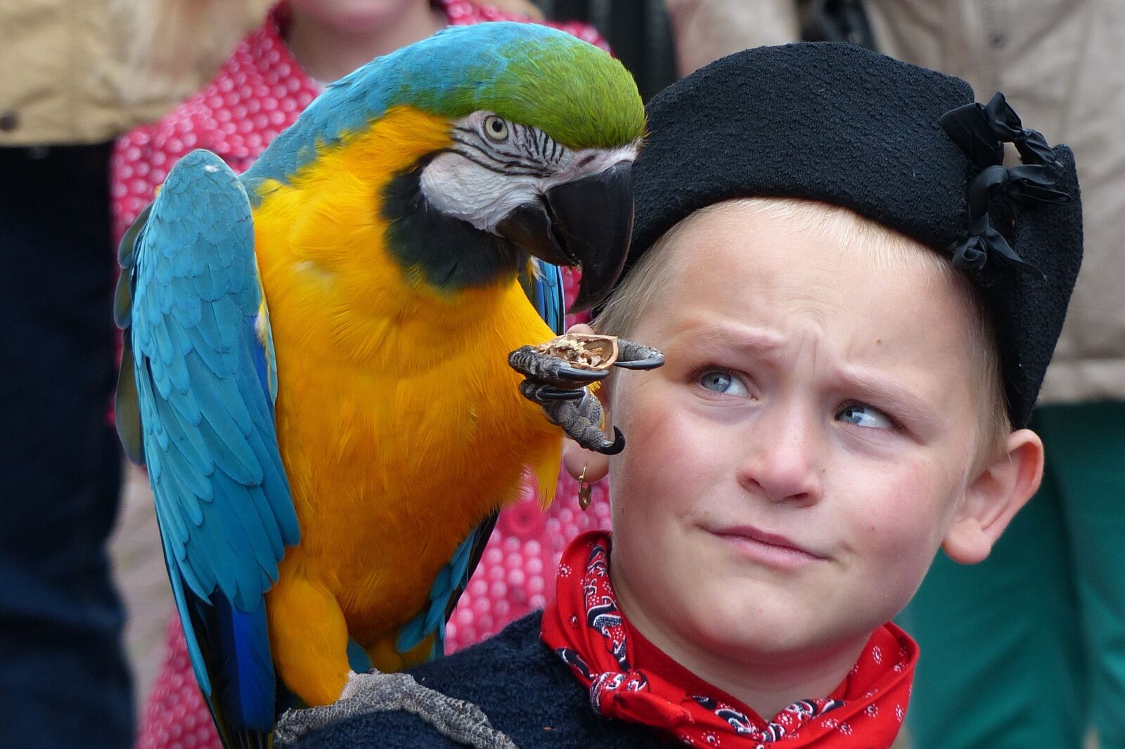 Panasonic Lumix DMC-FZ200 sample photo. Urk, boy, parrot photography