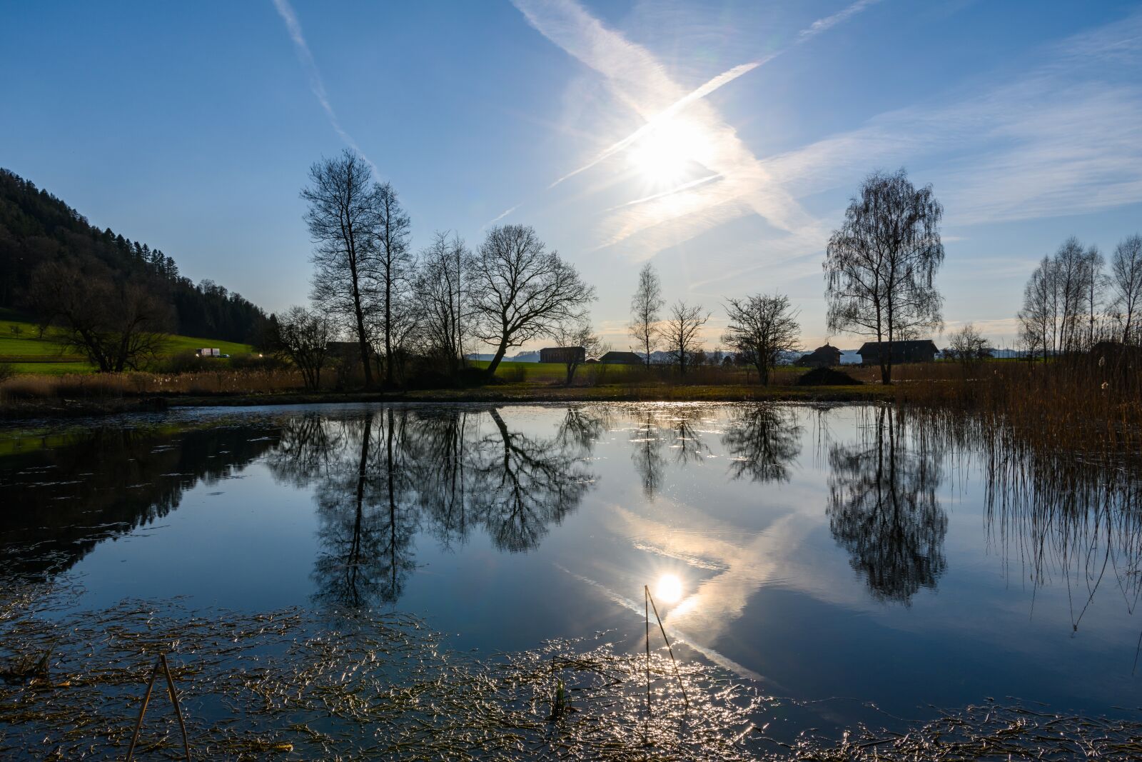 Nikon Z7 sample photo. Pond, backlighting, mirroring photography