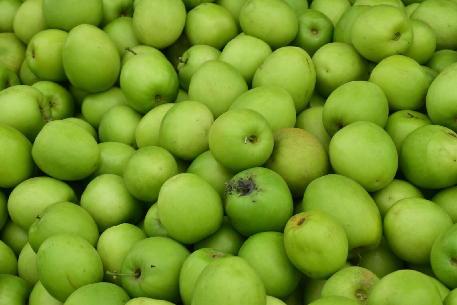 Nikon D5500 sample photo. Green, fruit, texture photography