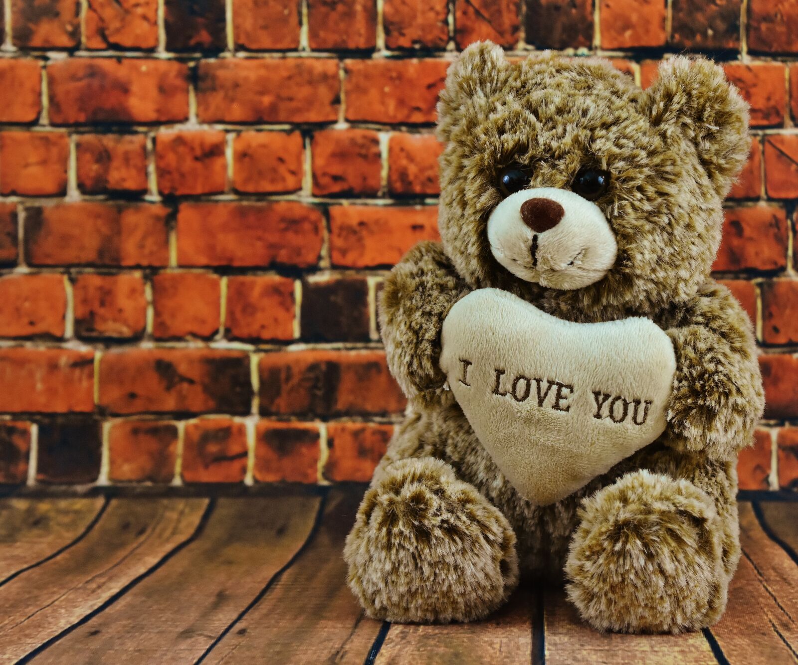 Nikon D7200 sample photo. Teddy, valentine's day, love photography