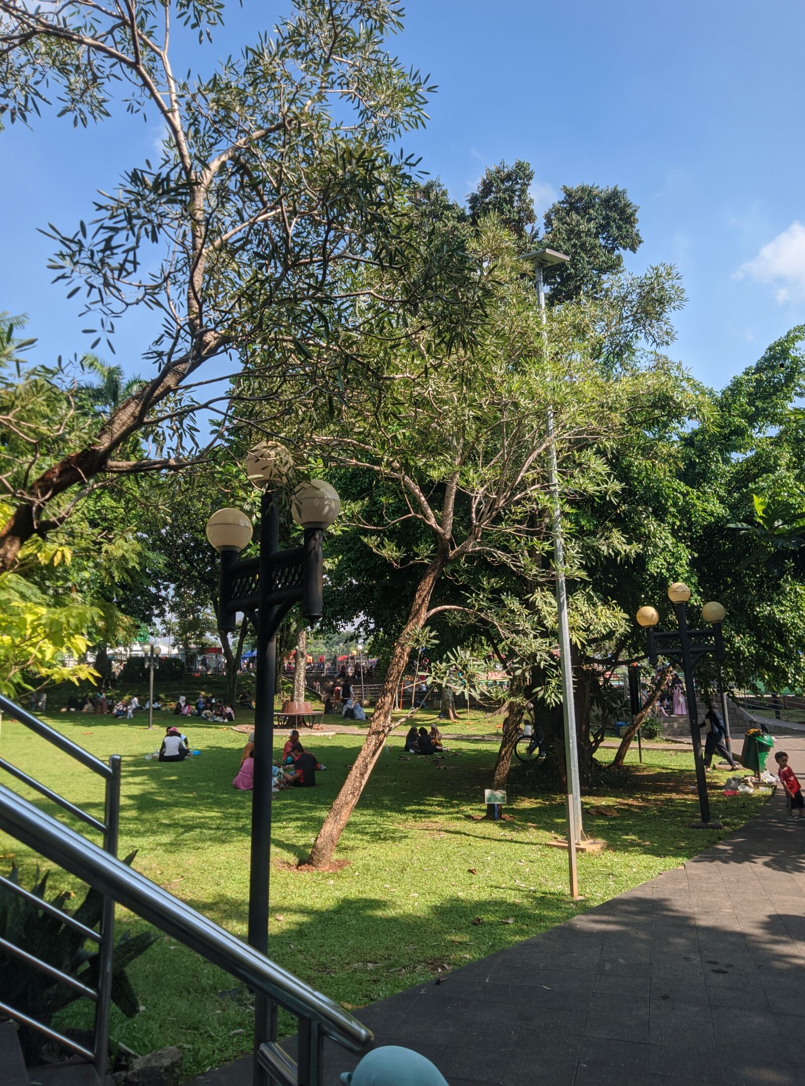 OPPO CPH2083 sample photo