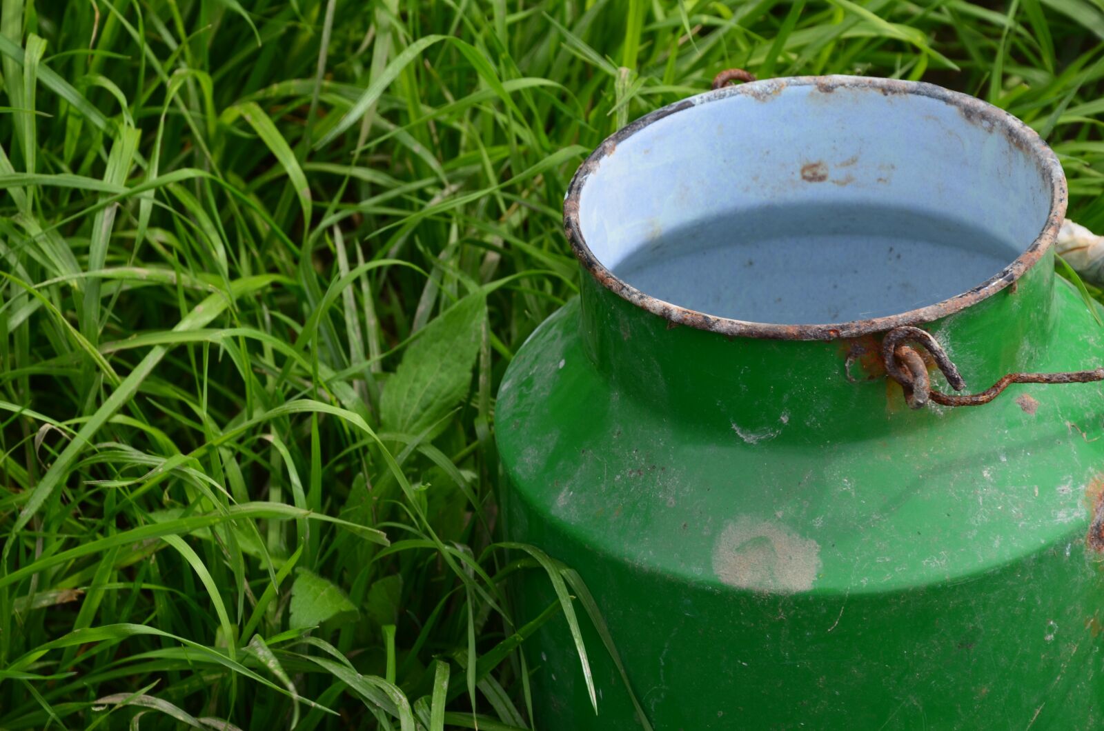 Nikon D5100 sample photo. Bucket, milking, milk photography