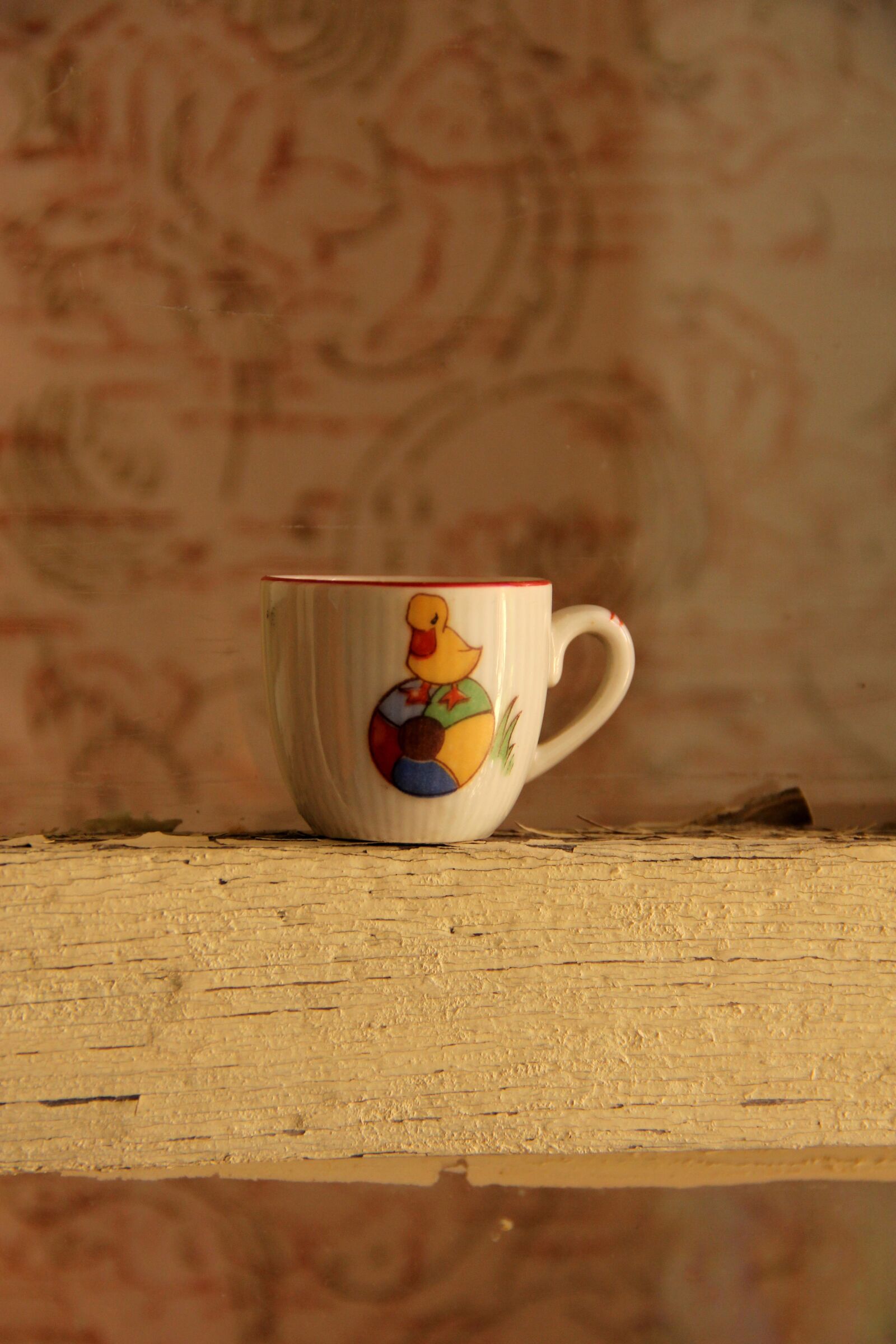 Canon EOS 550D (EOS Rebel T2i / EOS Kiss X4) sample photo. Cup, child, duck photography