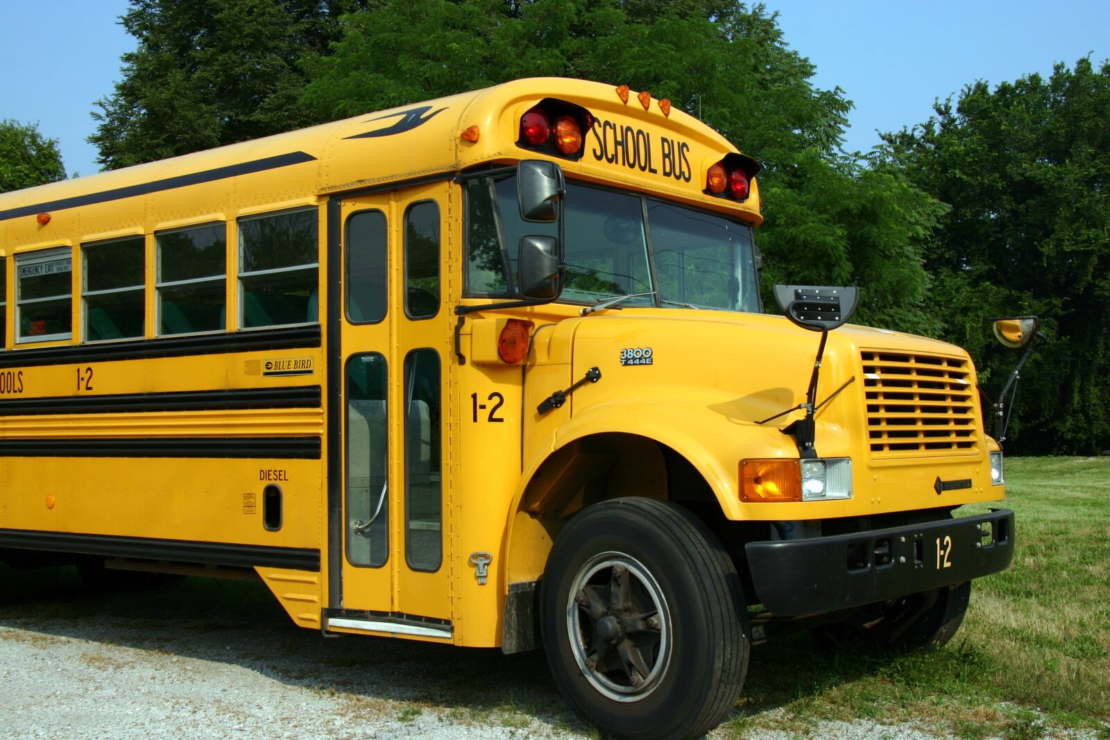 Canon EOS 300D (EOS Digital Rebel / EOS Kiss Digital) sample photo. School bus, bus, vehicle photography
