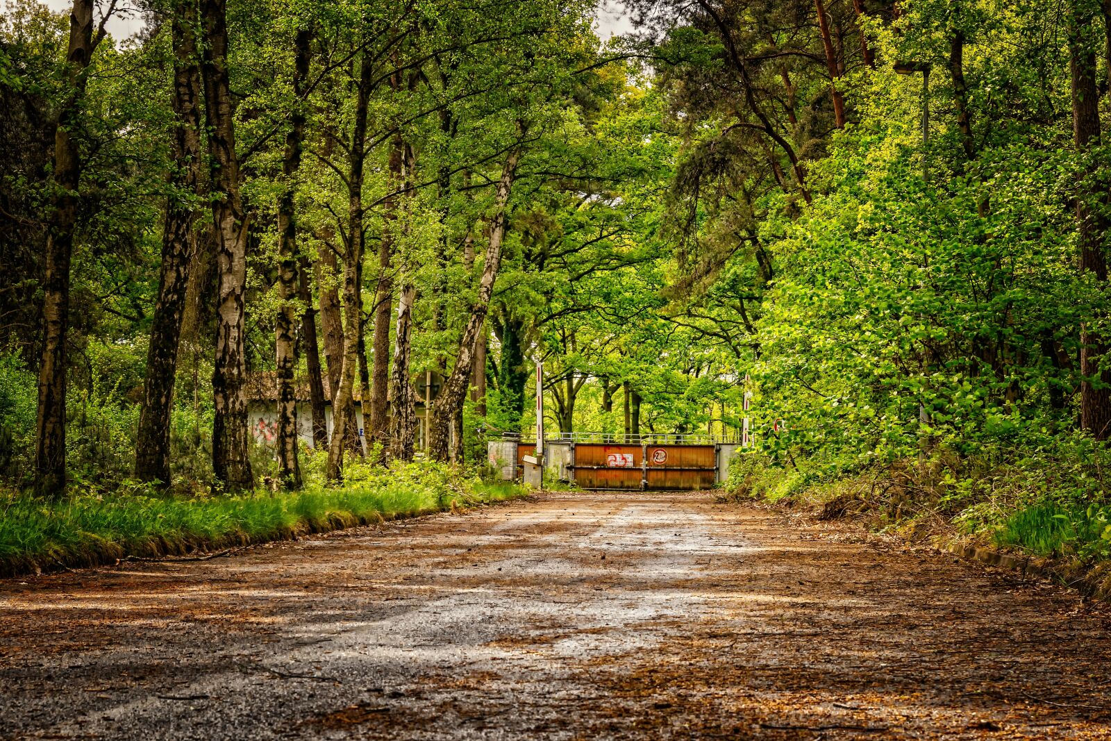 Nikon D3300 sample photo. Road, away, lost places photography
