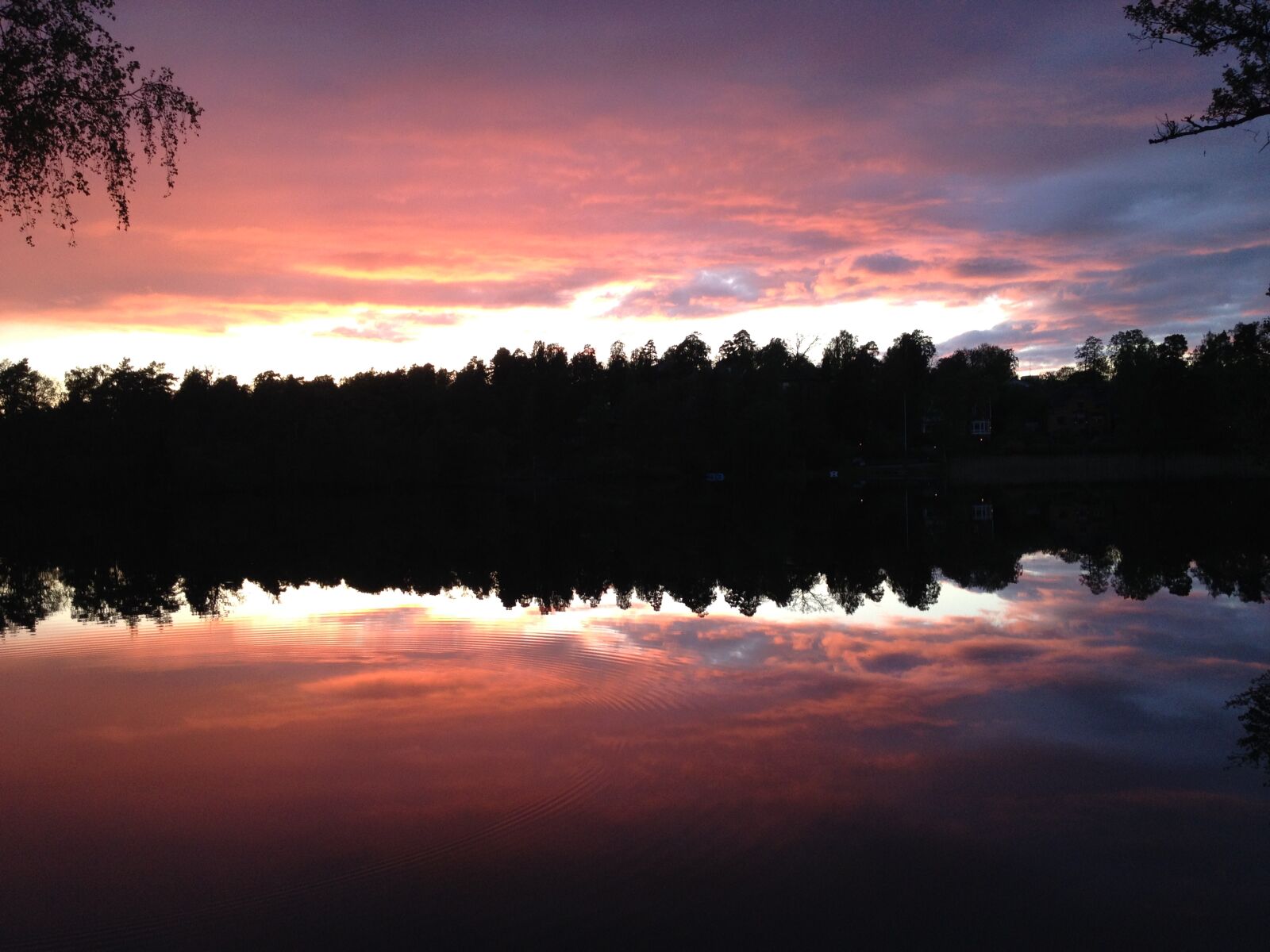 iPhone 4S back camera 4.28mm f/2.4 sample photo. Reflections, sunset, treeline, water photography