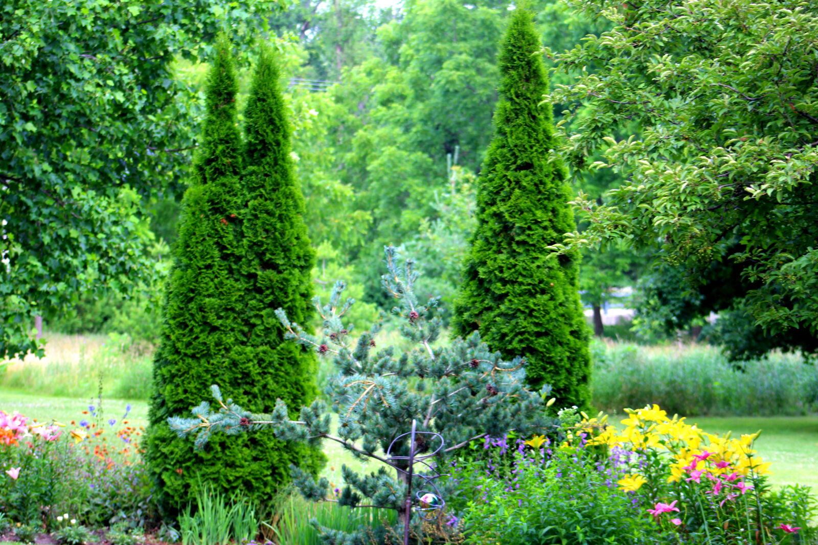 Canon EF 75-300mm f/4-5.6 sample photo. Green, tree, wow photography
