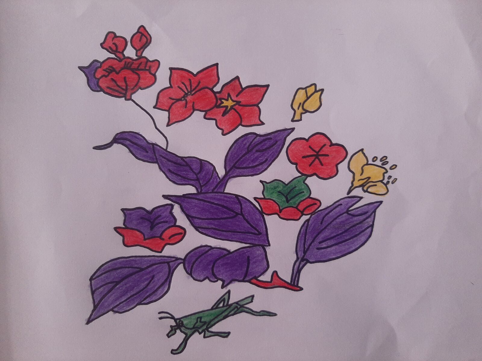 Samsung Galaxy A50 sample photo. Drawing of a flower photography