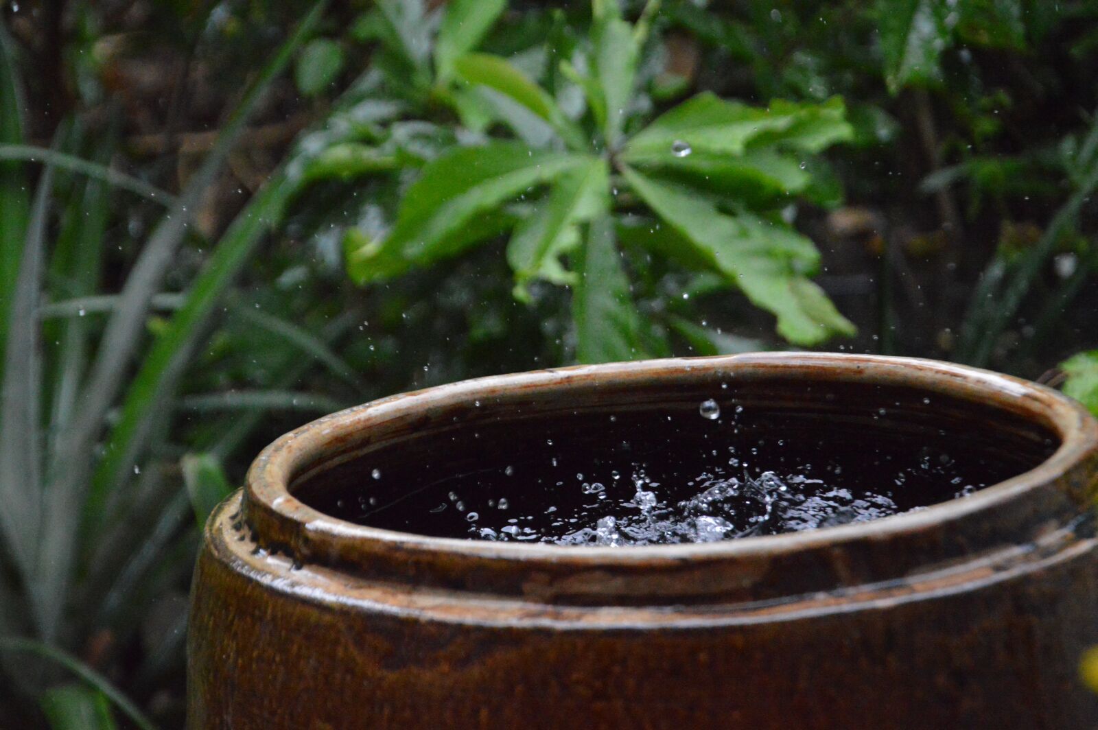 Nikon D3200 sample photo. Water, rain, ripple photography