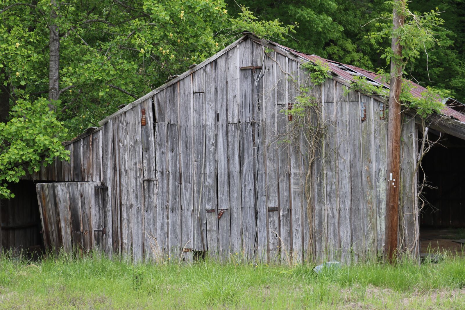Canon EOS 750D (EOS Rebel T6i / EOS Kiss X8i) sample photo. Barn, old, weathered photography