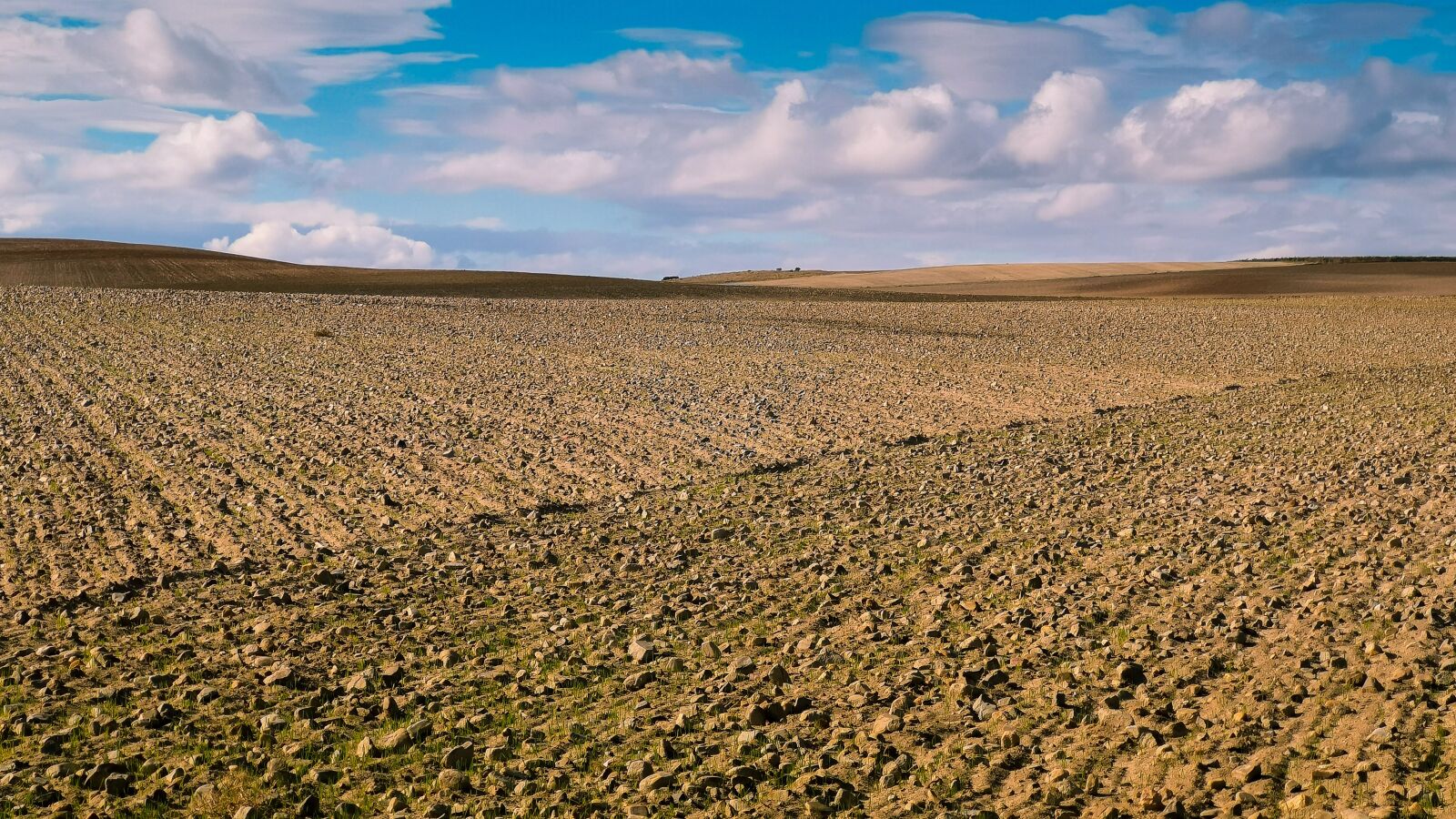 HUAWEI CLT-L09 sample photo. Field, horizon, sky photography
