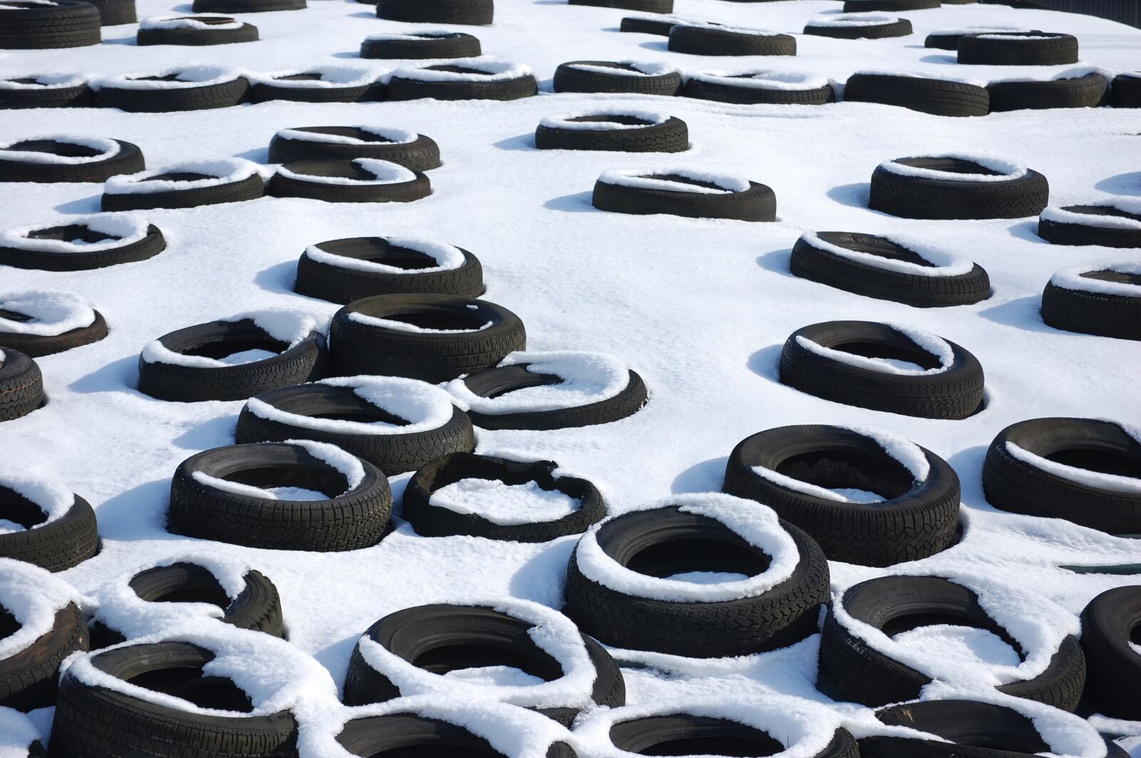 Nikon D40 sample photo. Mature, silage, winter photography