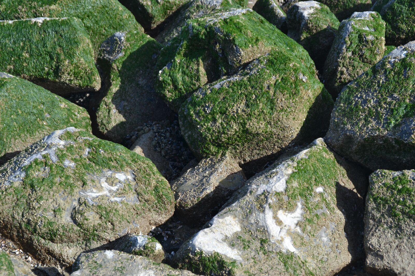 Nikon D3100 sample photo. Breakwater, texture, pierre photography